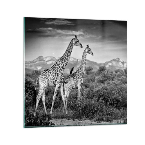 Üveg kép - Magas rangok Afrikában - 50x50 cm