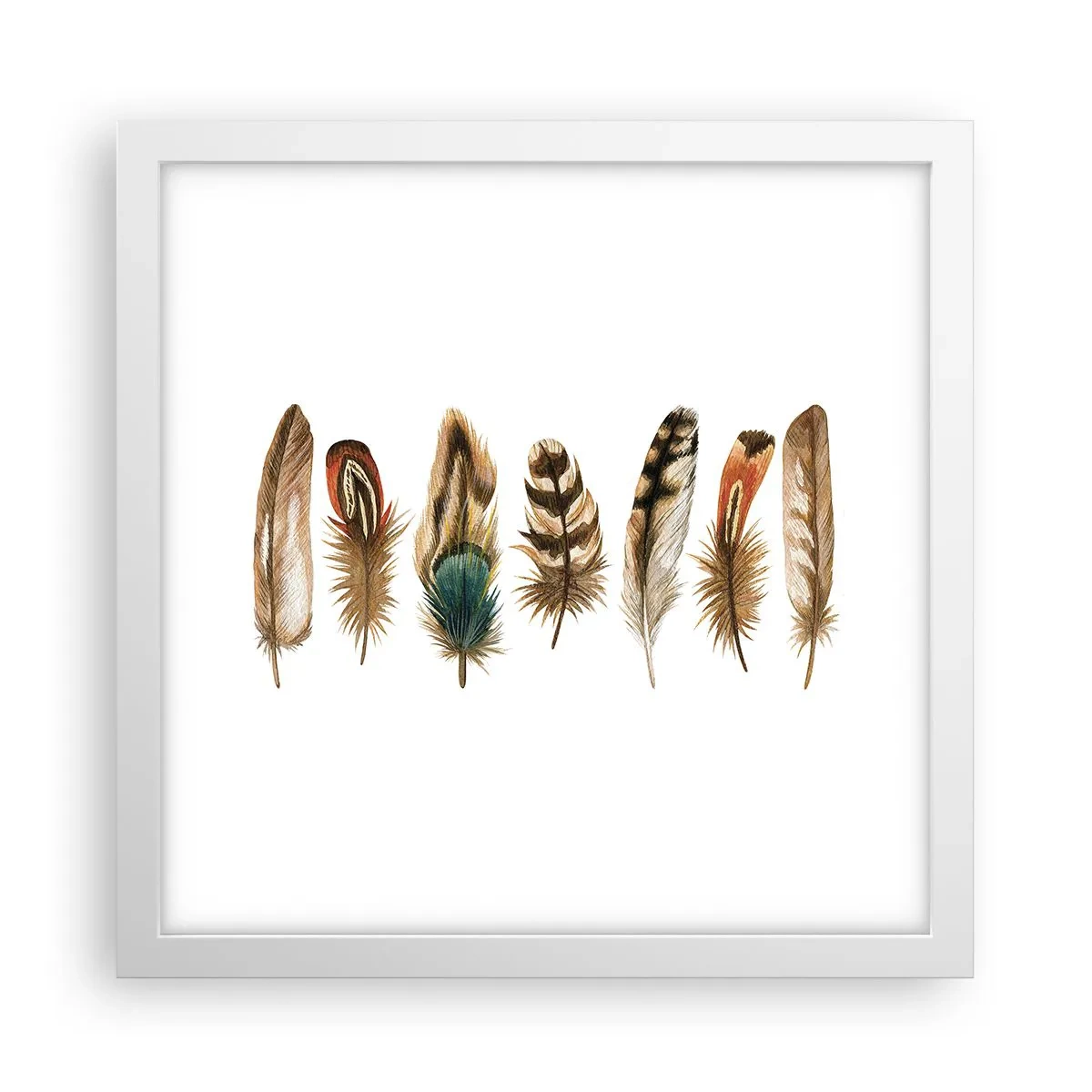 Poszter fekete keretben - Tollas variáció - 30x30 cm