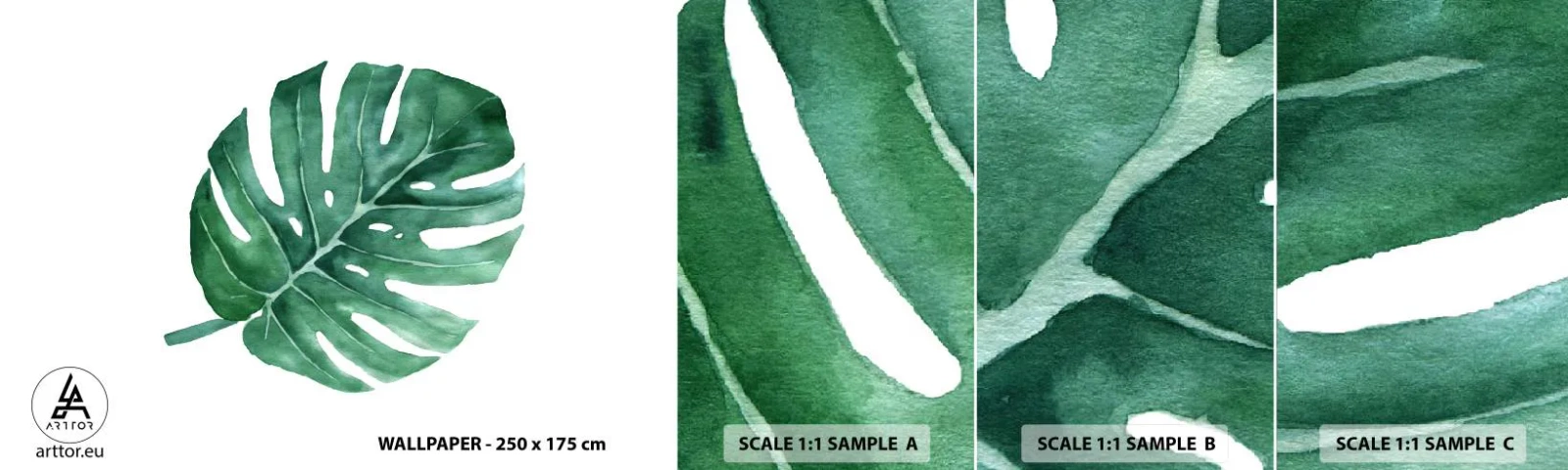Fotótapéta Minta Standard Eco - Zöld koncepció - Monstera, Levél növényen, Boho - 100x30 cm