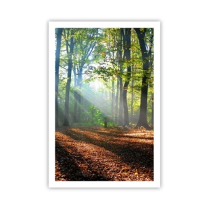 Poszter - Ragyogások és árnyékok - 61x91 cm