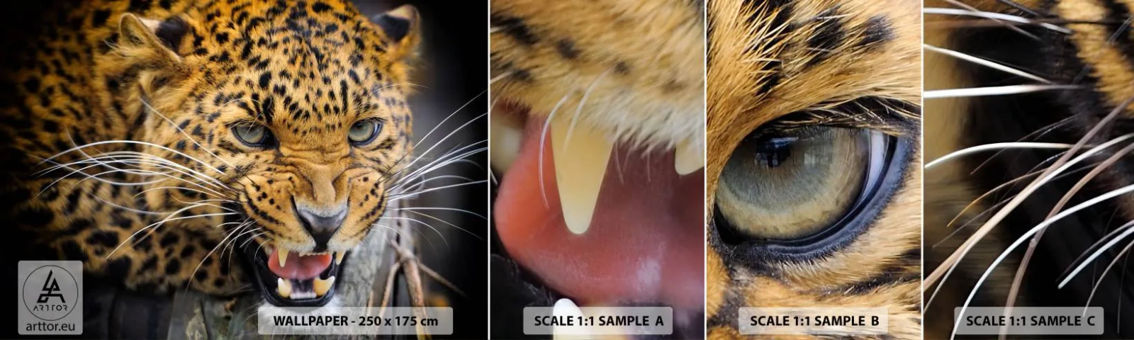 Fotótapéta Minta Öntapadós Deluxe Sticker - Maradj távol, figyelmeztetlek! - Állatok, leopárd, Vadmacska - 100x30 cm