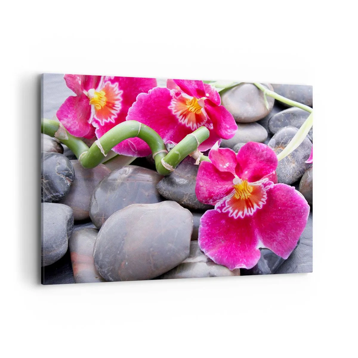 Vászonkép - Hideg és forró - 100x70 cm