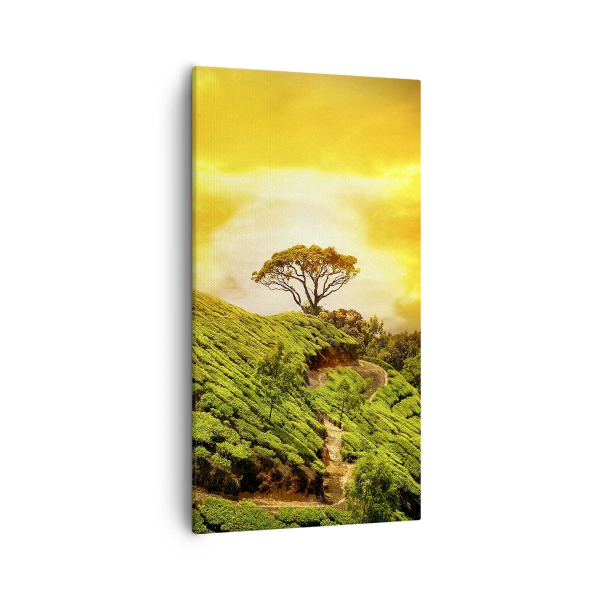 Vászonkép - Kanyargós ösvény, zöld lejtő - 55x100 cm