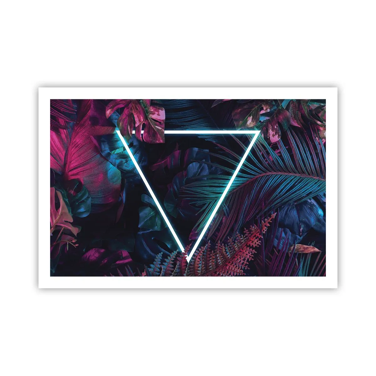 Poszter - Disco stílusú kert - 91x61 cm
