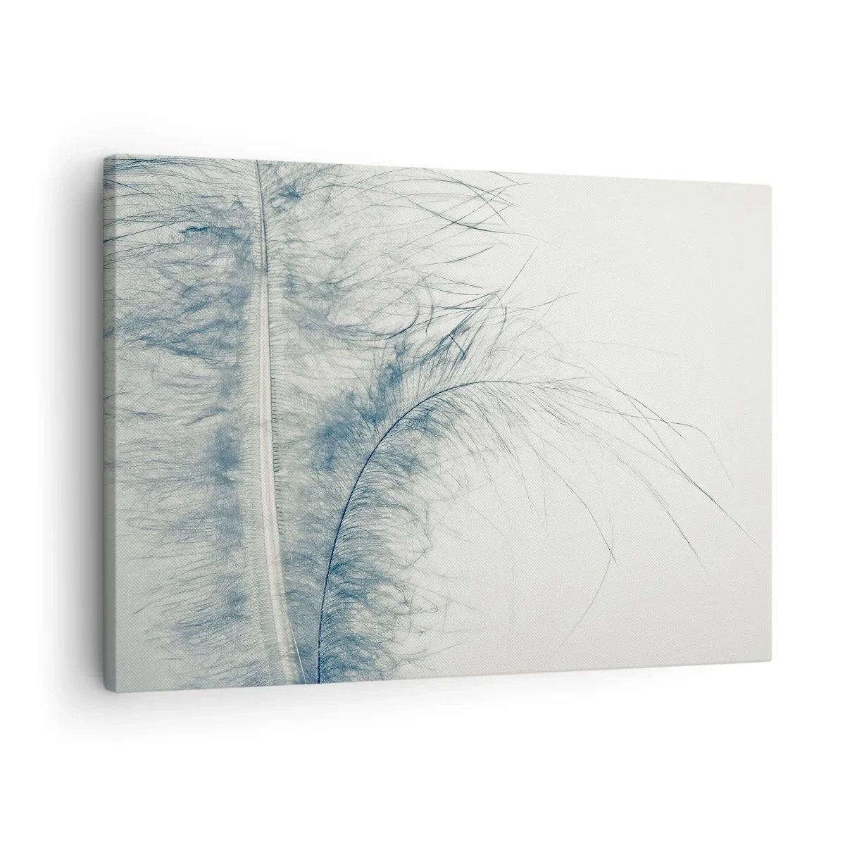 Vászonkép - Egy finom toll pasztell árnyalatokban világos háttér előtt - 70x50cm - A természet suttogása - Modern fali dekoráció nappalihoz és hálószobához ARTTOR