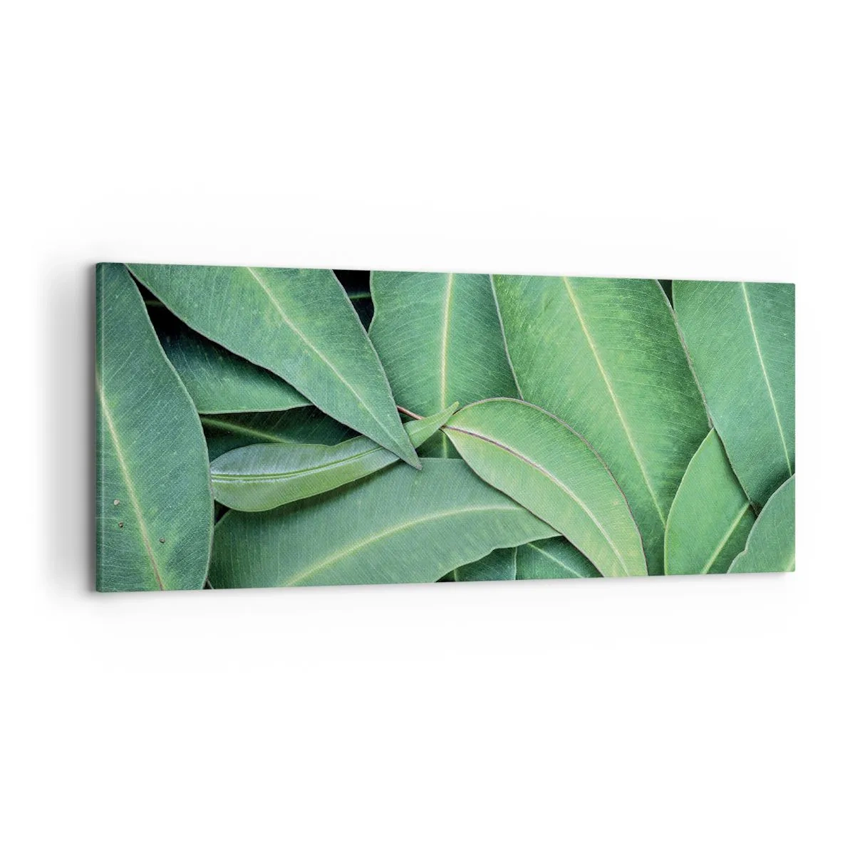 Vászonkép - Lédús és friss - 100x40 cm