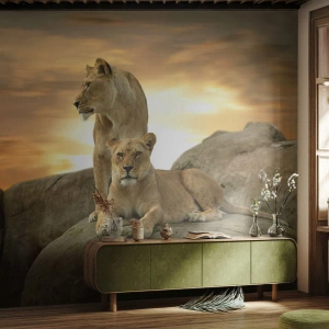 Fotótapéta Standard Eco - Két oroszlánnő pihen egy sziklán naplementekor - 100x70cm - Királyi felség - Modern fali dekoráció nappalihoz és hálószobához ARTTOR