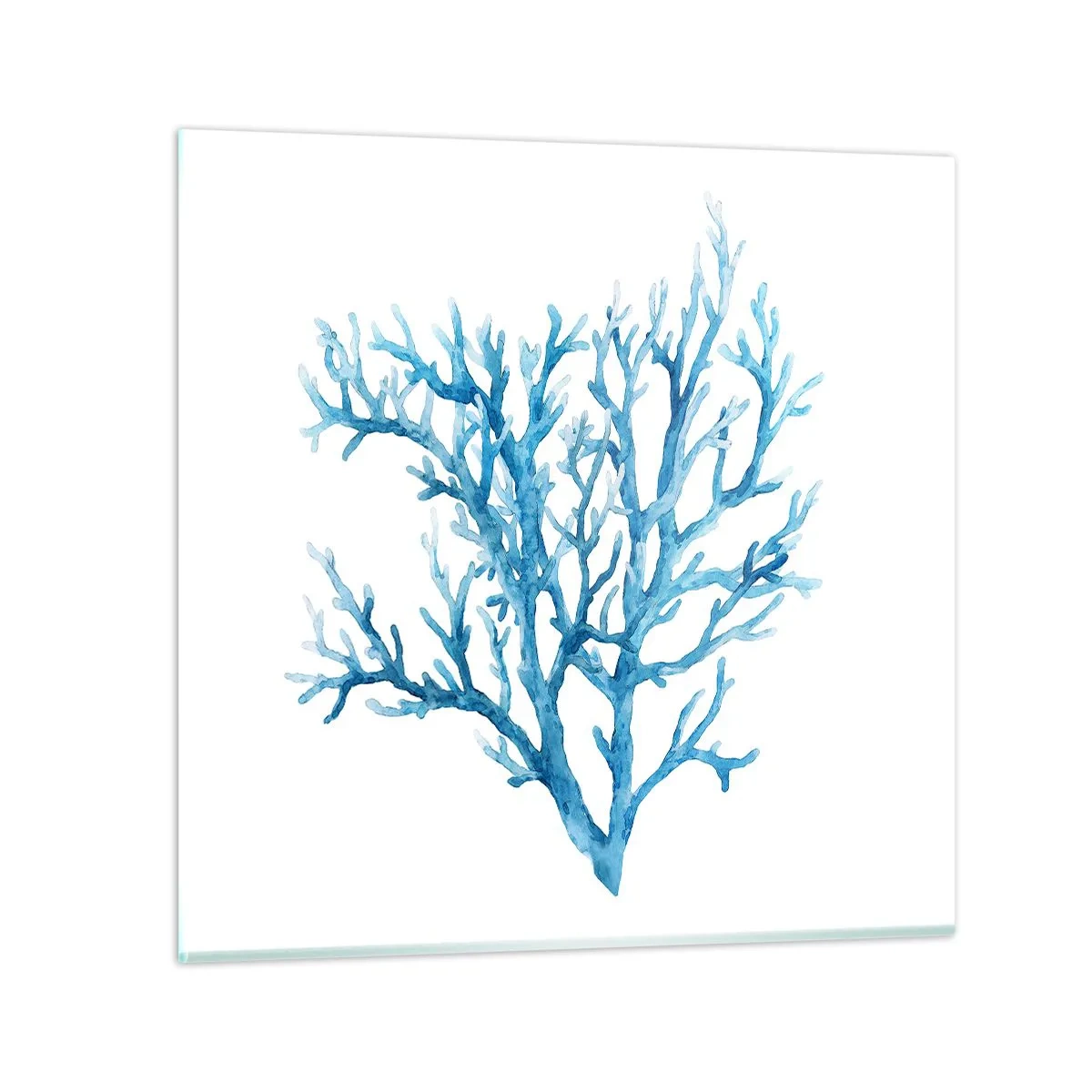 Üveg kép - Tengeri filigrán - 50x50 cm