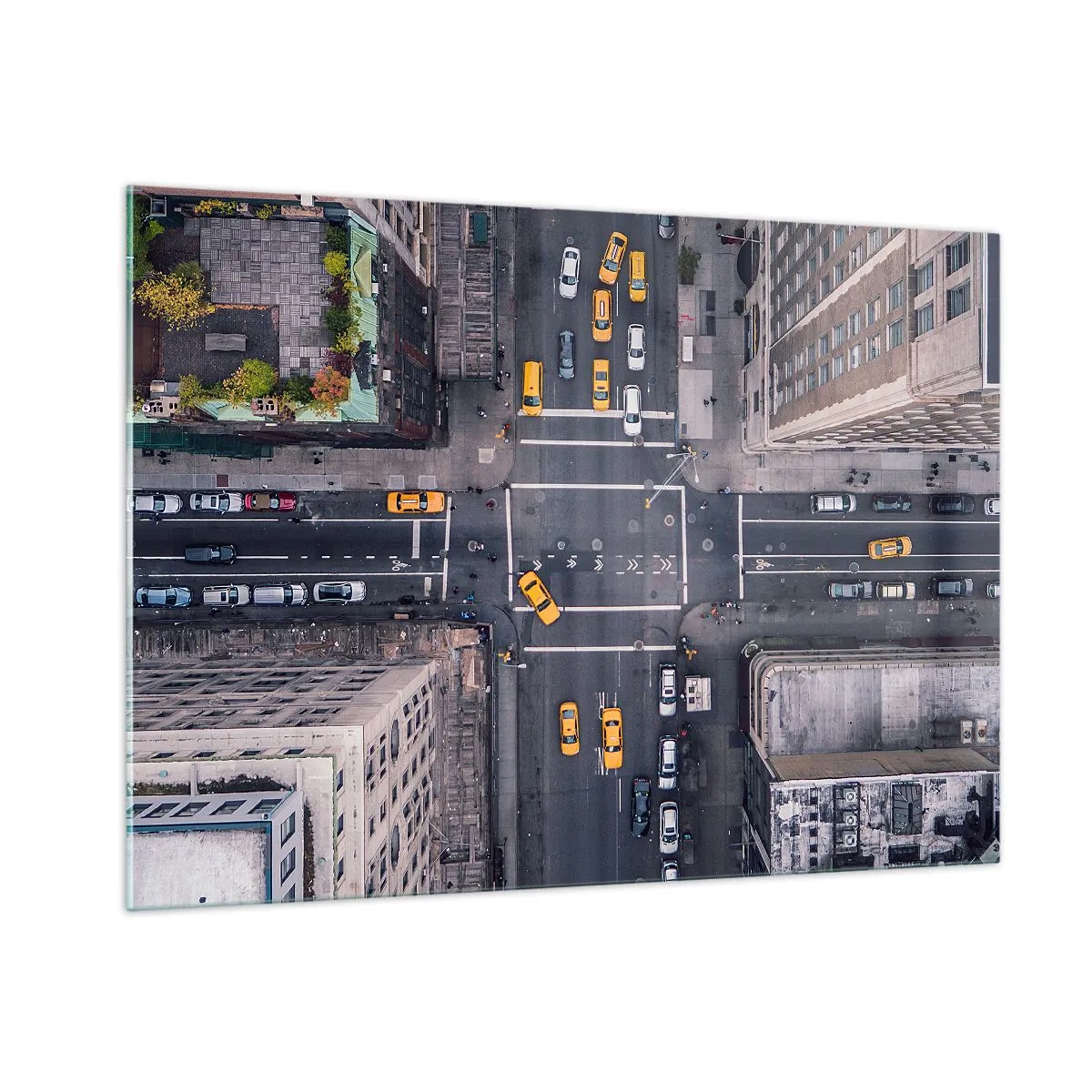 Üveg kép - Egyszerű választás - 100x70 cm