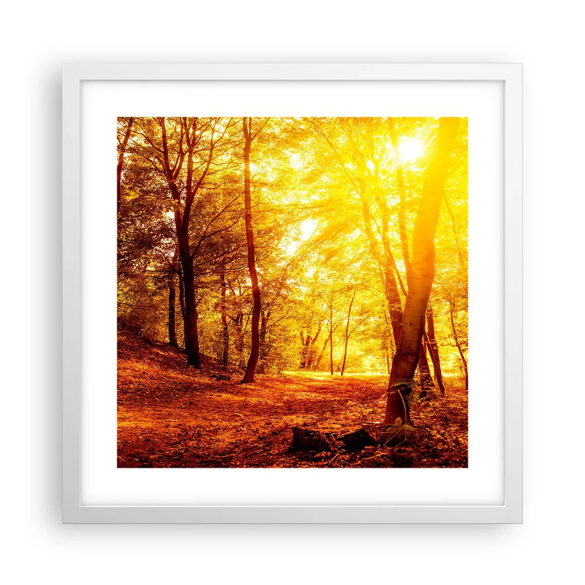 Poszter fekete keretben - Az arany tisztás felé - 40x40 cm