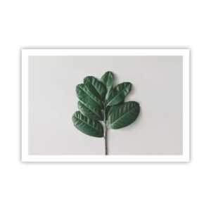 Poszter - Rajz csak a természetről - 91x61 cm