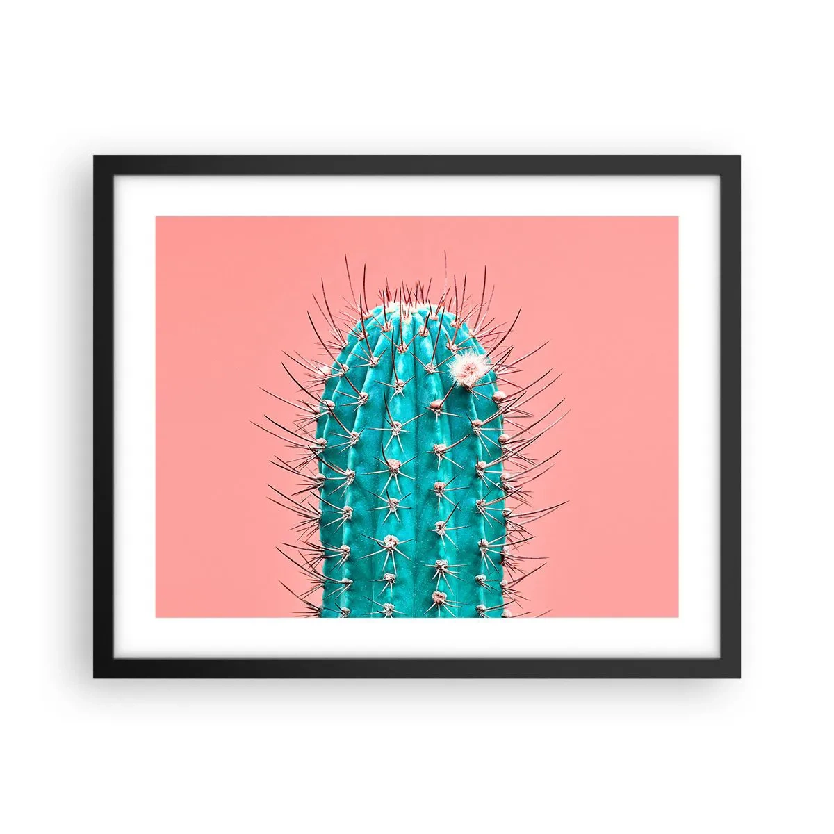 Poszter fehér keretben - Csak nézz - 50x40 cm