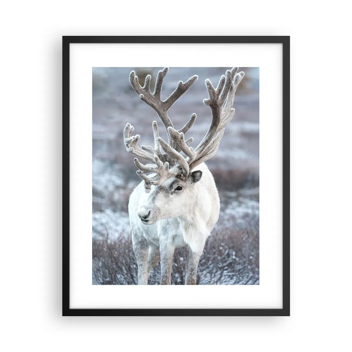 Poszter fehér keretben - Portré a napon - 40x50 cm