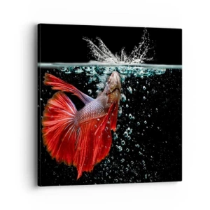 Vászonkép - Három kívánságod van - 40x40 cm