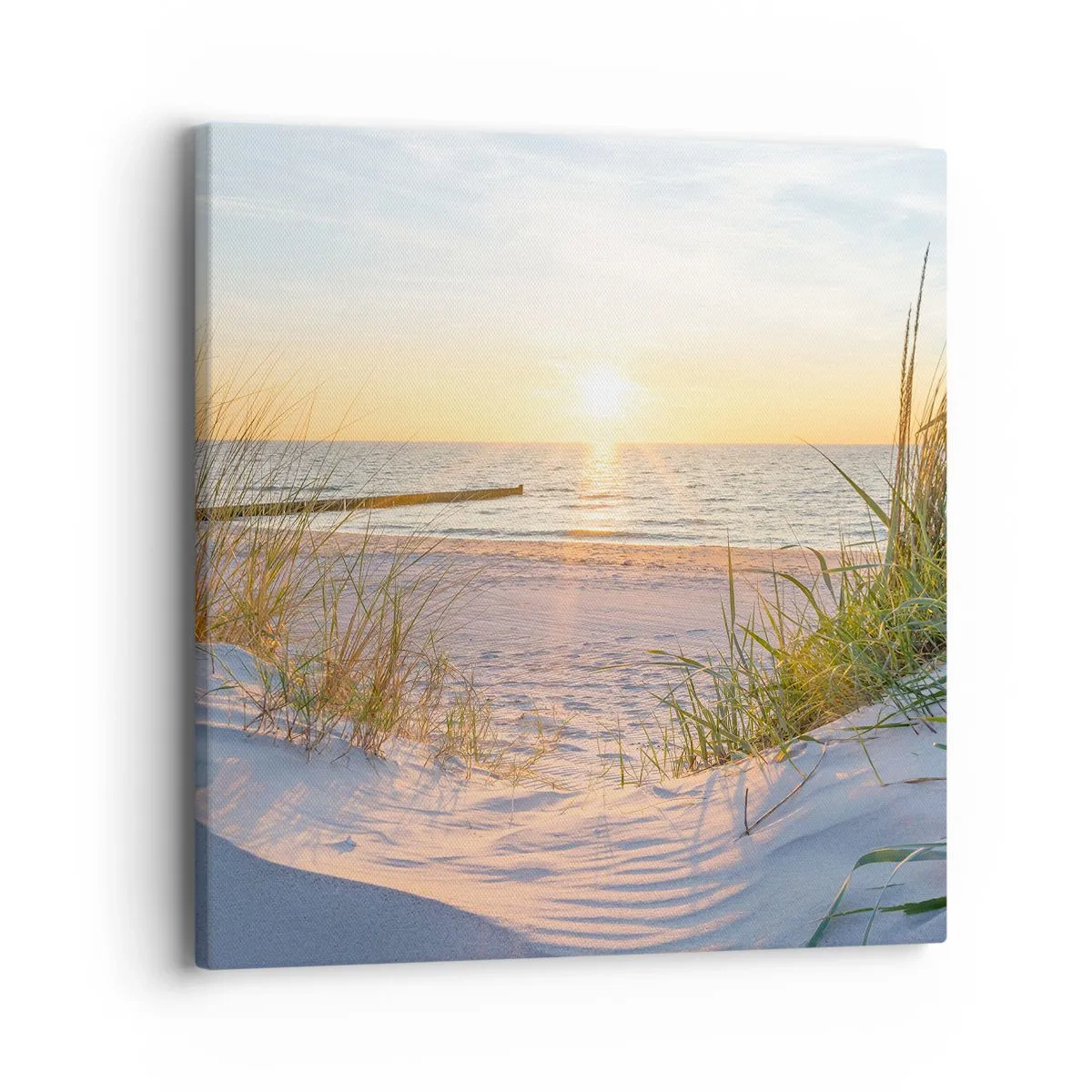 Vászonkép - A tenger hangja, a madarak éneke, egy vad tengerpart a fű között... - 40x40 cm