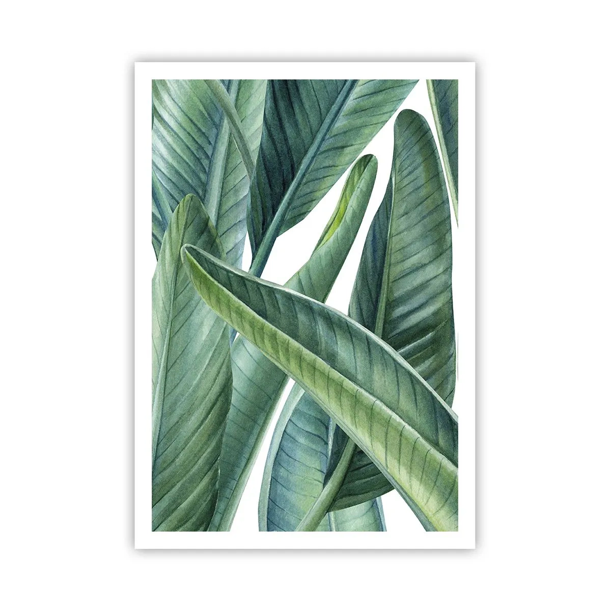 Poszter - Zöld önmagában - 70x100 cm