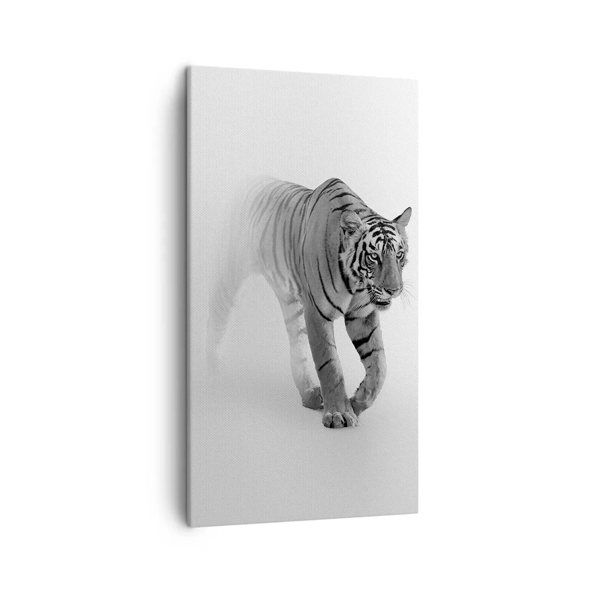 Vászonkép - Elrejtőzik a ködben - 45x80 cm