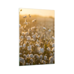 Üveg kép - Puha mező - 70x100 cm