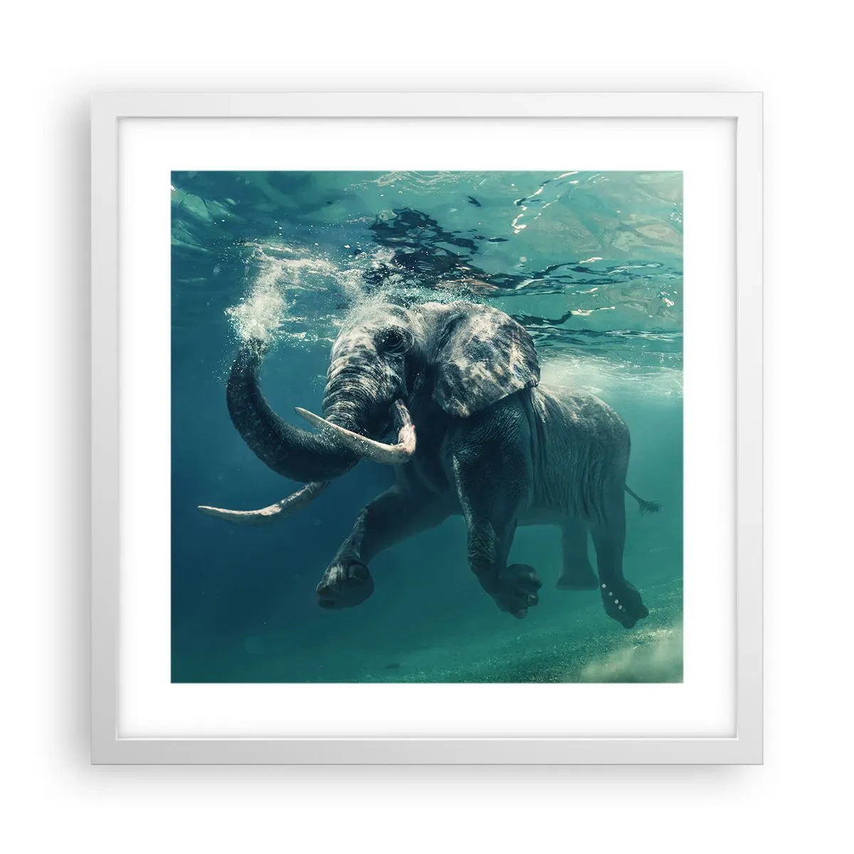 Poszter fekete keretben - Mindenki szeret úszni - 40x40 cm