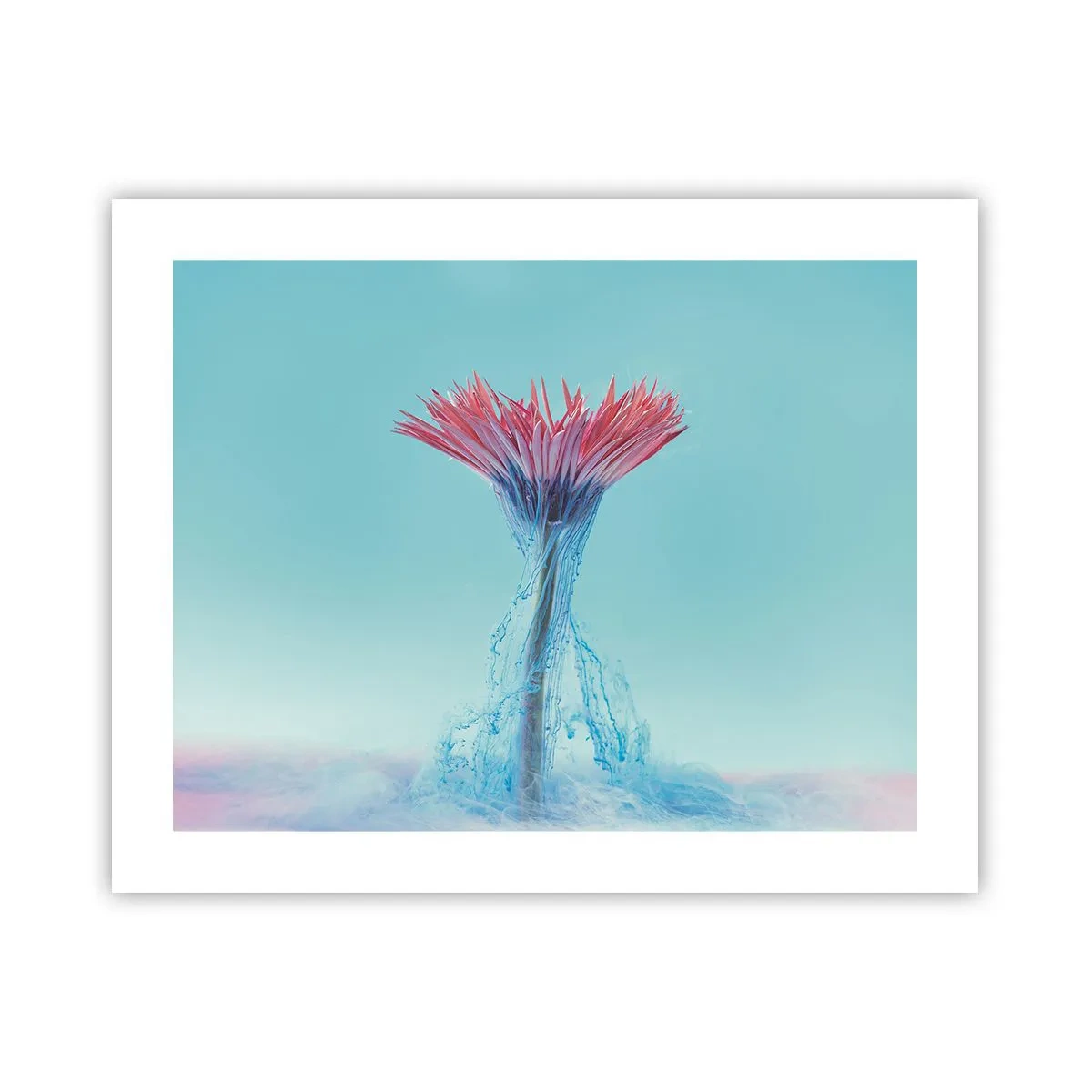 Poszter - Élénkítő ölelésben - 50x40 cm