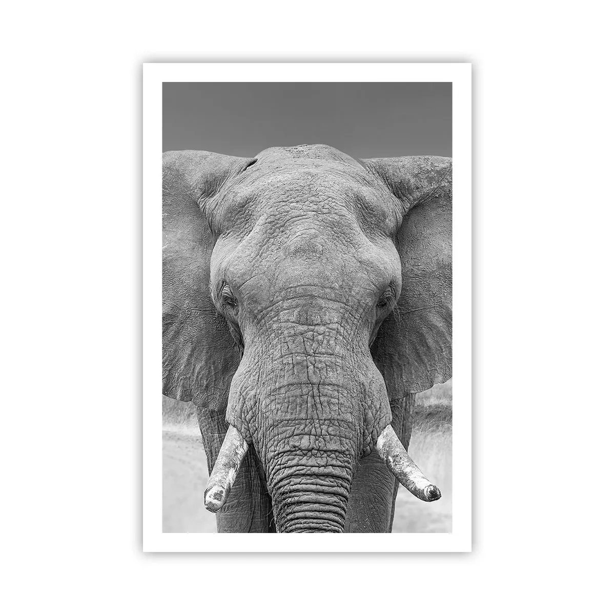 Poszter - Üdv a világomban - 61x91 cm