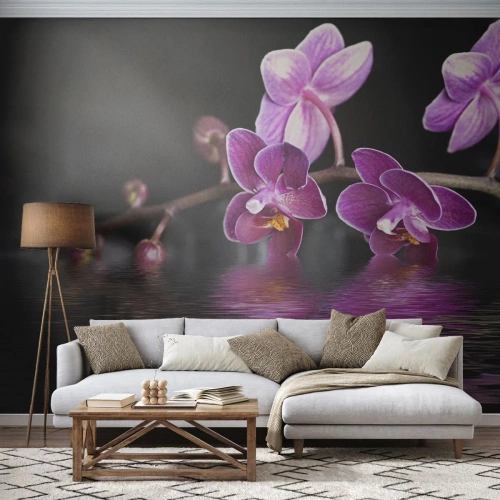 Fotótapéta Standard Eco - Lila a szépség tükörképe - Virágok, Orchidea, Természet - 450x315 cm