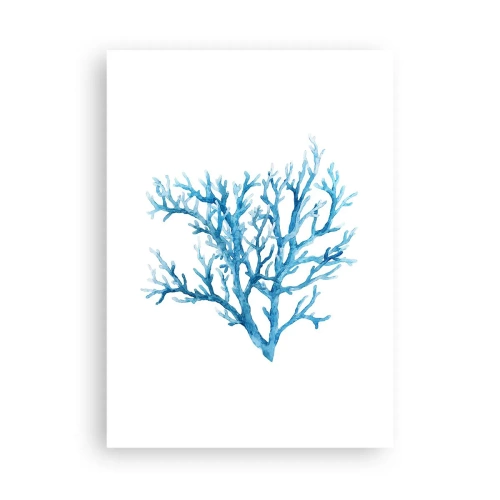 Poszter - Tengeri filigrán - 50x70 cm