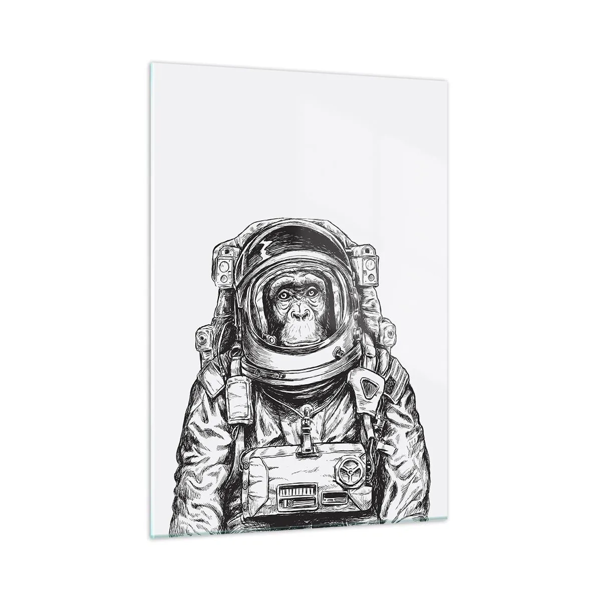 Üveg kép - Alternatív evolúció - 50x70 cm