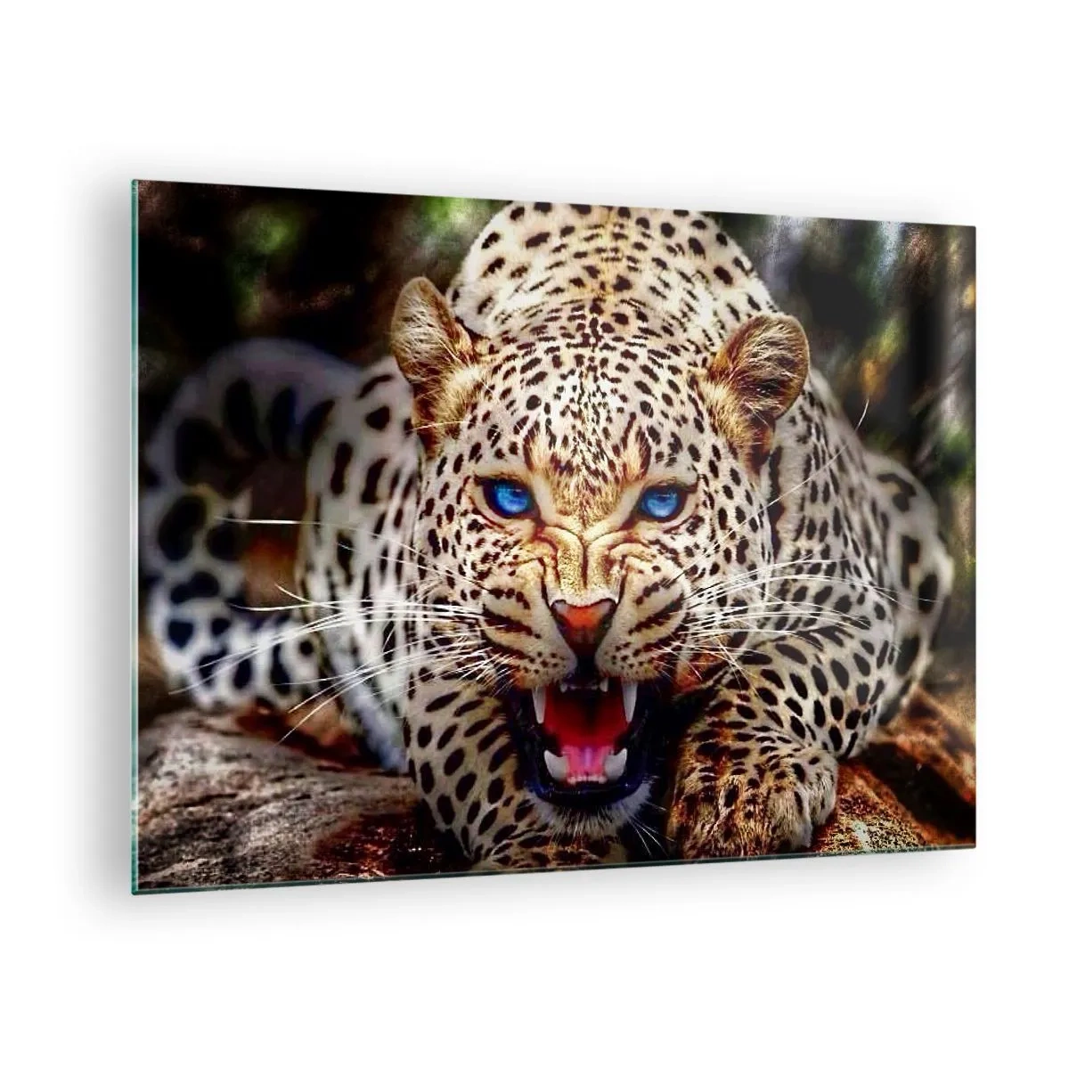 Üveg kép - Egy vad kék szemű leopárd a vadonban - 70x50cm - A szépség nem árt a haragnak - Modern fali dekoráció nappalihoz és hálószobához ARTTOR