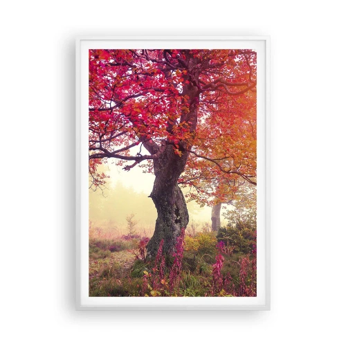 Poszter fekete keretben - Virágzás őrülete - 70x100 cm