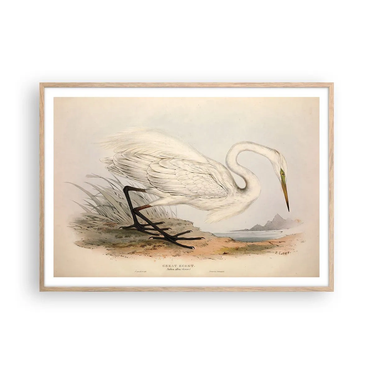 Poszter világos tölgy keretben - Hölgy a nádasban - 100x70 cm