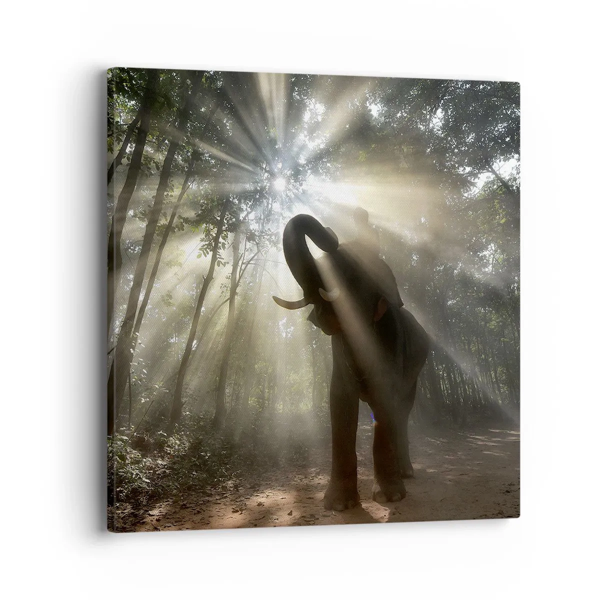 Vászonkép - A szerencsecsillag alatt - 40x40 cm