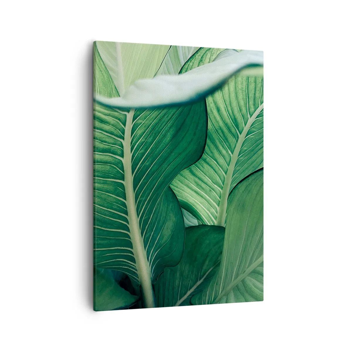 Vászonkép - Intenzíven zöld élet - 50x70 cm