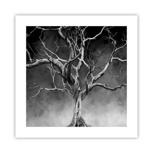 Poszter - Ősi és szent - 40x40 cm