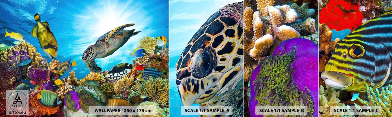 Fotótapéta Minta Öntapadós Deluxe Sticker - Korall sétány - korallzátony, Tenger, Vízalatti világ - 100x30 cm