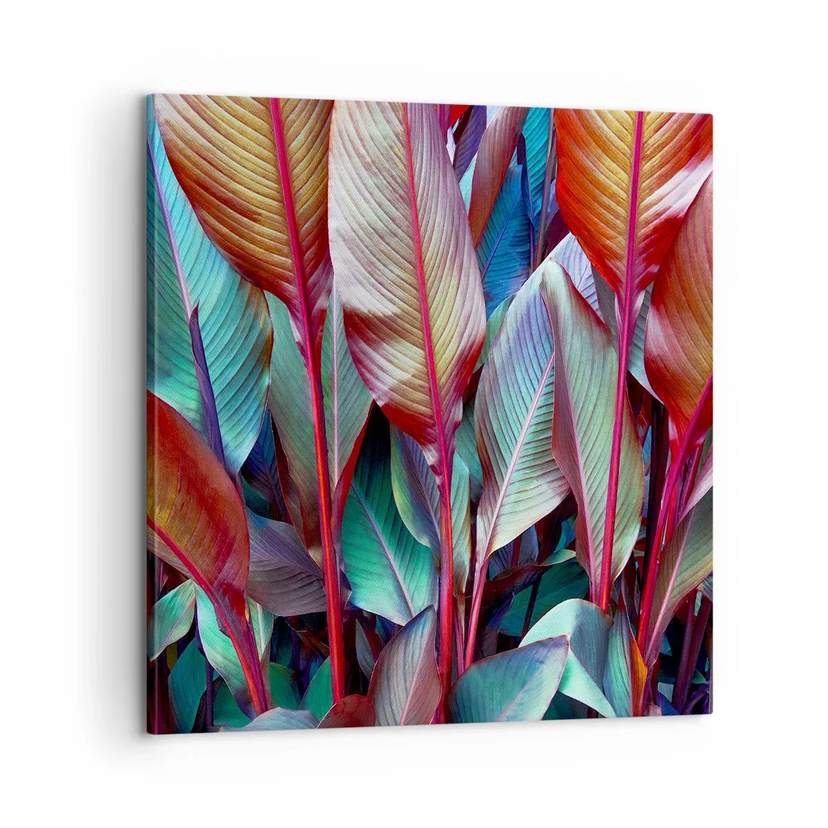 Vászonkép - Egy színes sűrű - 60x60 cm