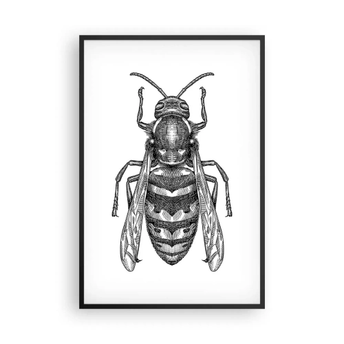 Poszter fehér keretben - Egy rovar bolygóról - 61x91 cm