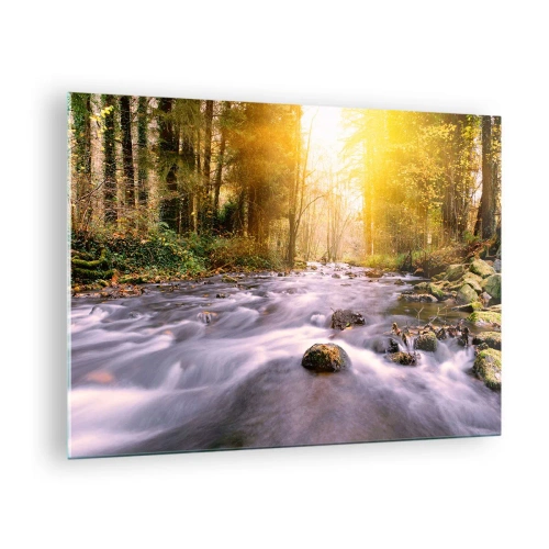 Üveg kép - Erdei patak a napfényben - 70x50cm - Malachit ezüst és arany keretben - Modern fali dekoráció nappalihoz és hálószobához ARTTOR