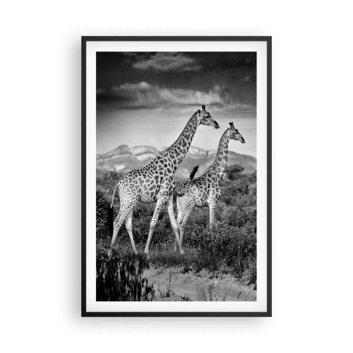 Poszter fehér keretben - Magas rangok Afrikában - 61x91 cm