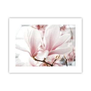 Poszter - Határtalan gyengédség - 40x30 cm