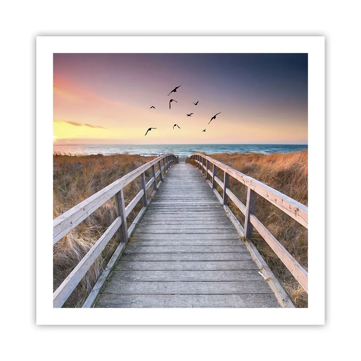 Poszter - Repülési tér - 60x60 cm