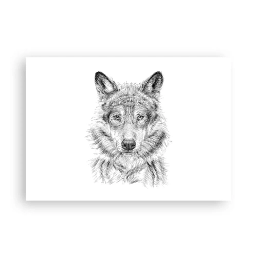 Poszter - Született vezető - 100x70 cm