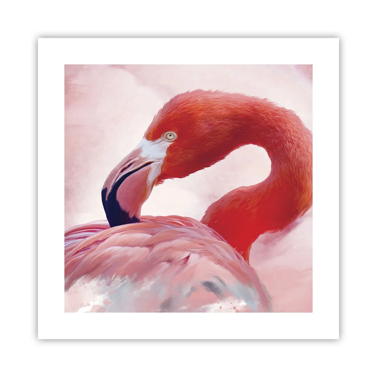 Poszter - Madári szépség - 40x40 cm