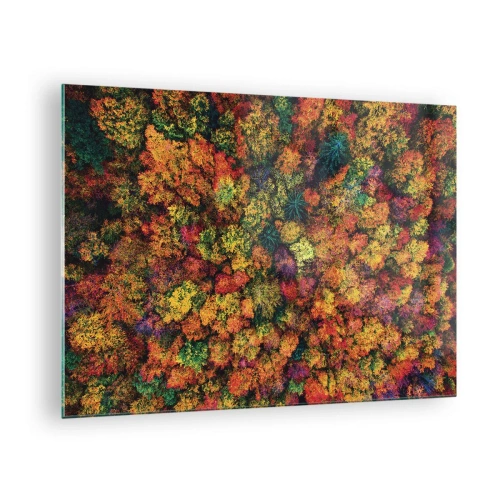 Üveg kép - Madártávlatból egy erdő teljes ősszel, tele színes fákkal - 70x50cm - Őszi facsokor - Modern fali dekoráció nappalihoz és hálószobához ARTTOR