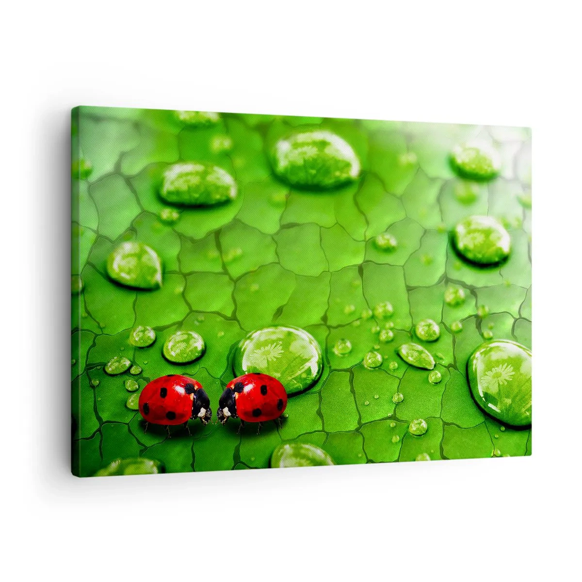 Vászonkép - Találkozás a zöldben - 70x50 cm