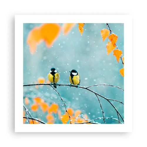 Poszter - Madárpletykák - 50x50 cm