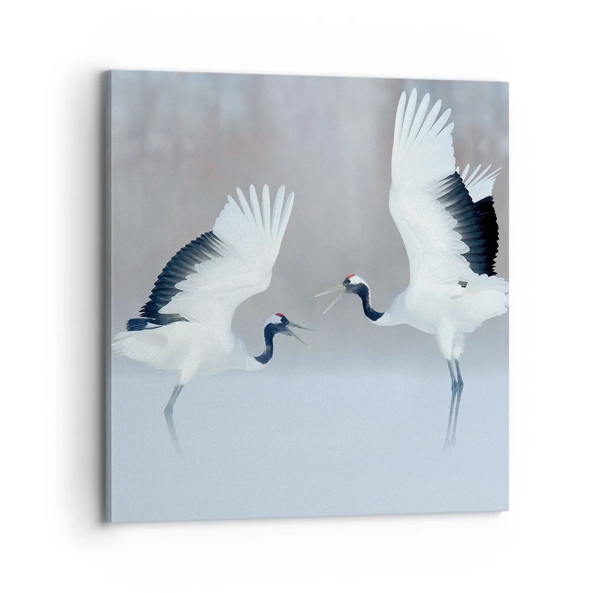 Vászonkép - Tánc a ködben - 70x70 cm