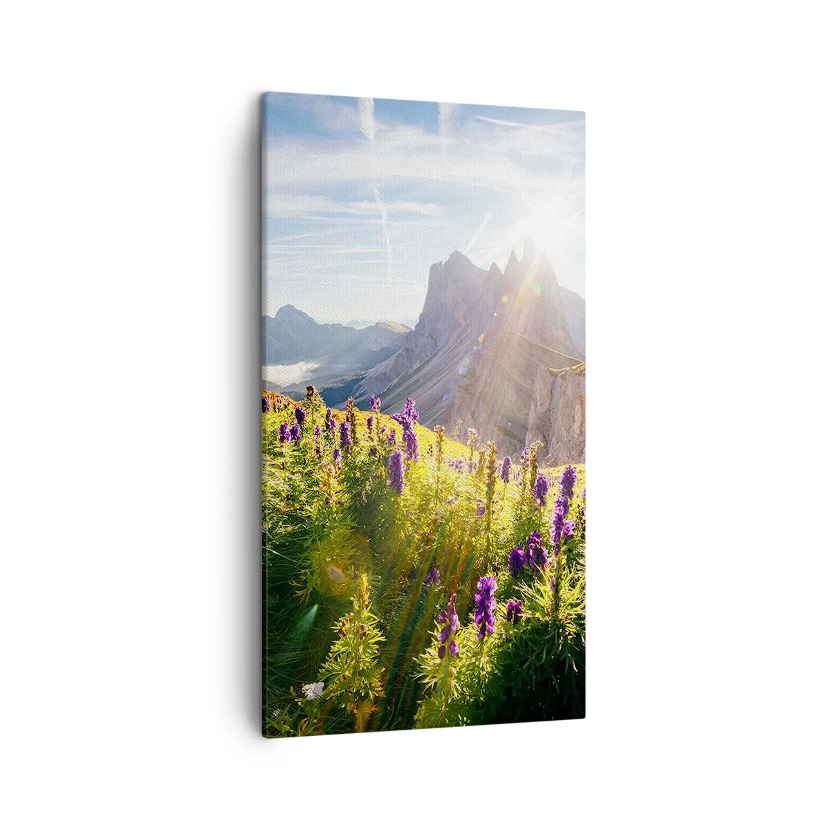 Vászonkép - A gyógynövények titkos élete - 45x80 cm