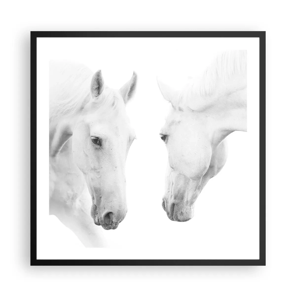 Poszter fehér keretben - Ez a barátság...? - 60x60 cm