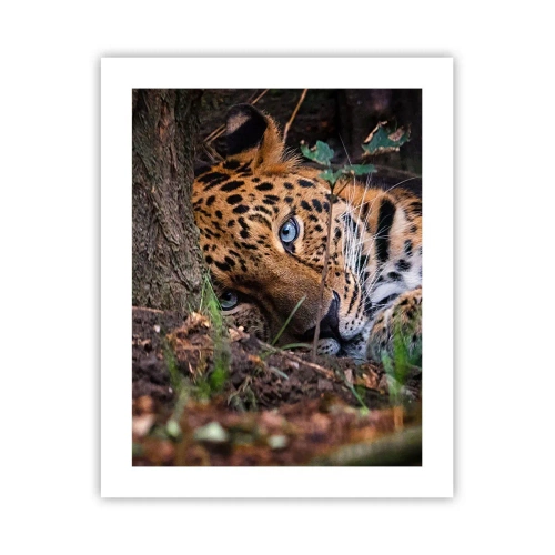 Poszter - Bízz bennem - 40x50 cm